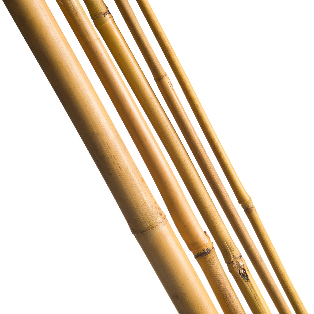 Tuteur bambou naturel - h210 cm x ø16-18 mm - 3 pièces