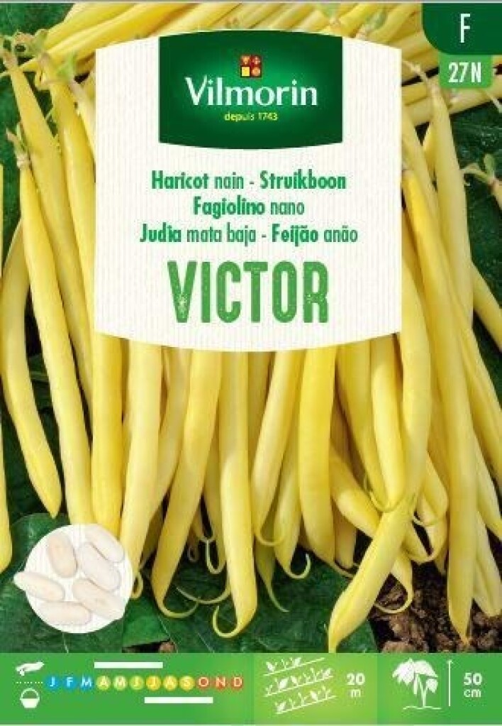 Haricot nain à filet sans fil Victor 100g