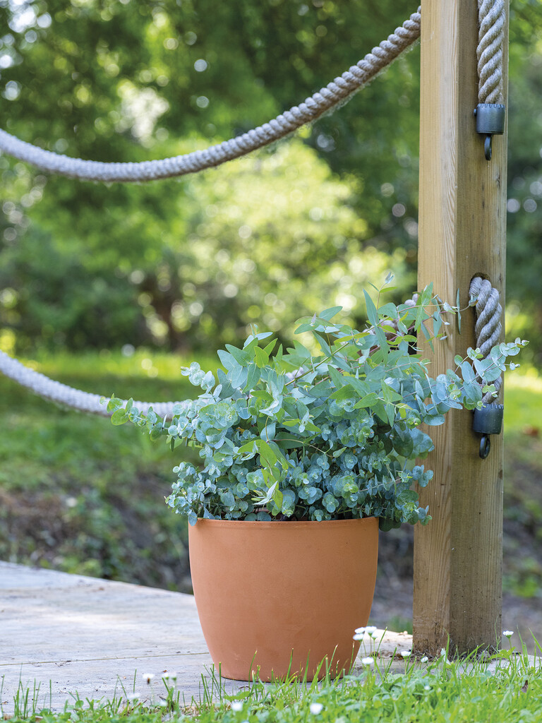 Bloempot Egg Cotto Garden 19x17cm Bloempot Egg Cotto Garden 19x17cm