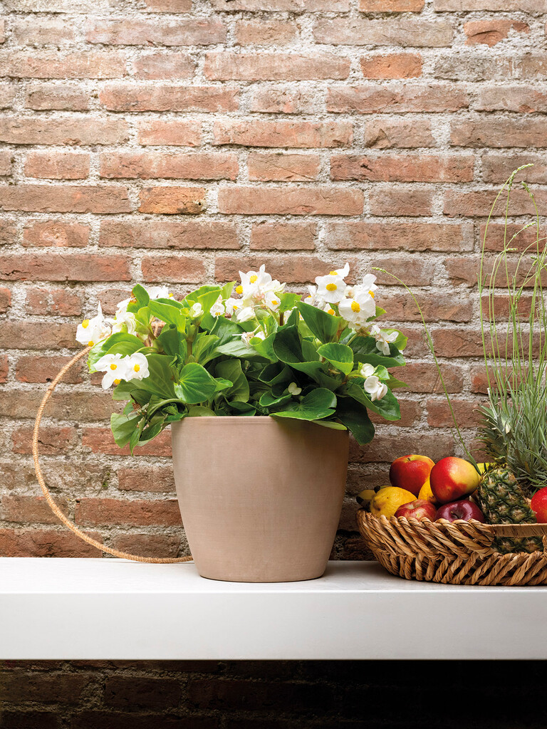 Pot de fleurs Egg Blanc 25x21,7cm Pot de fleurs Egg Blanc 25x21,7cm