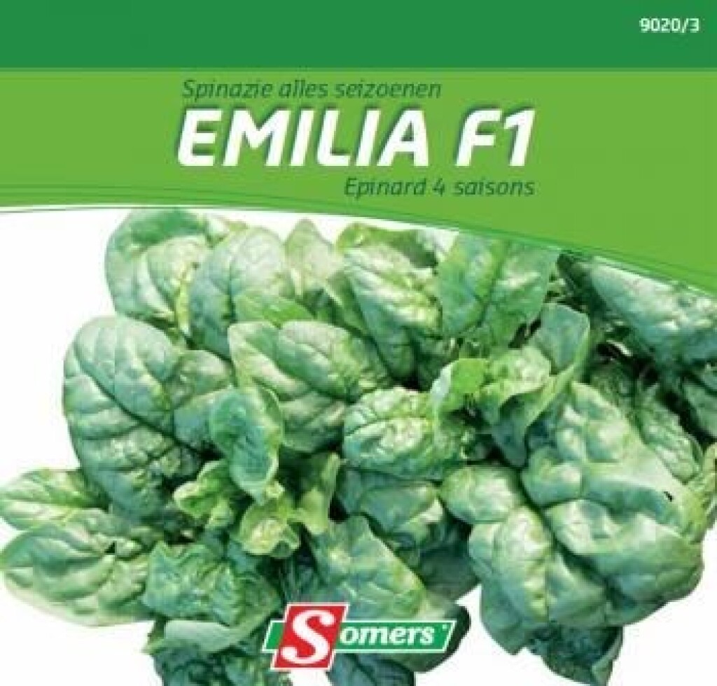 Spinazie alle seizoenen Emelia F1