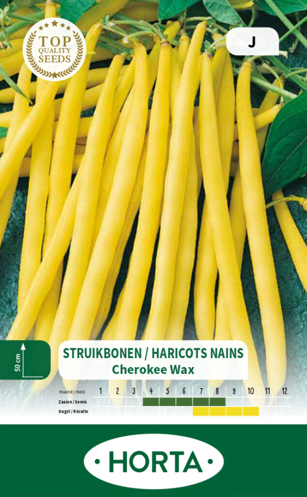 Haricot nain mangetout Cherokee Wax Haricot nain mangetout Cherokee Wax