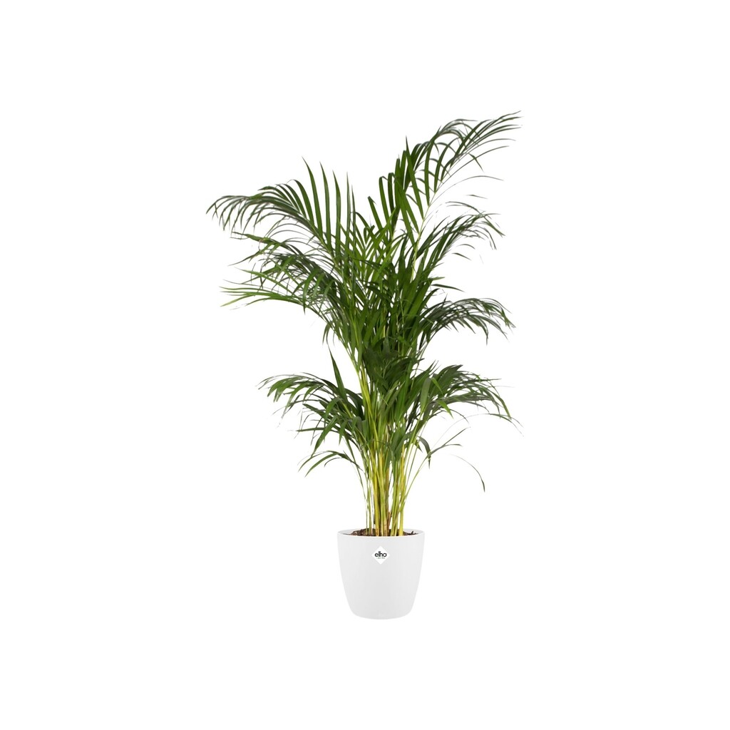 Bloempot Brussels rond 20cm wit