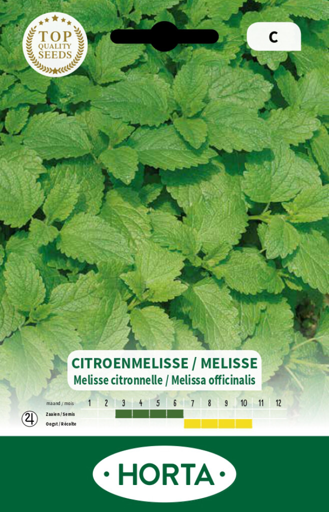 Citroenmelisse Citroenmelisse
