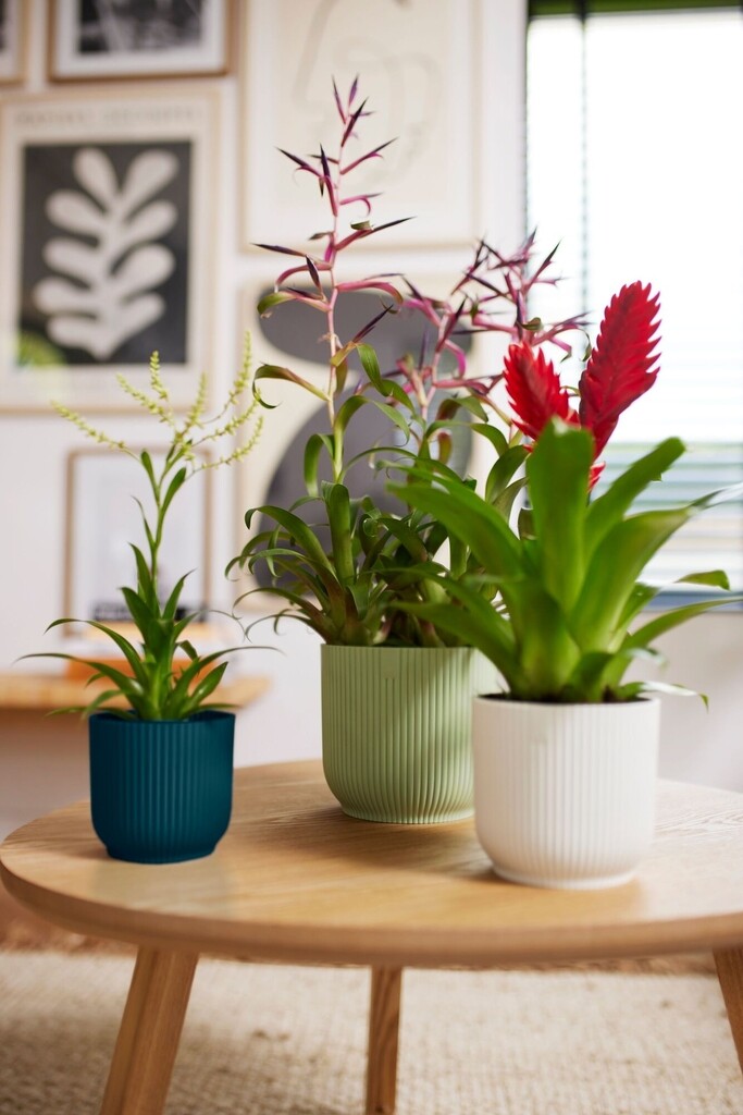 Bloempot Vibes Fold Rond 14cm sorbet groen