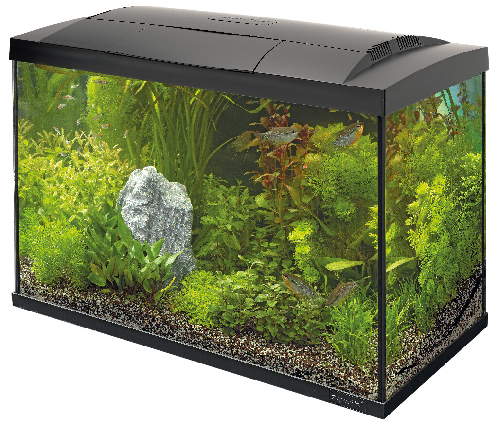 Start Aquarium 70 tropical kit, zwart