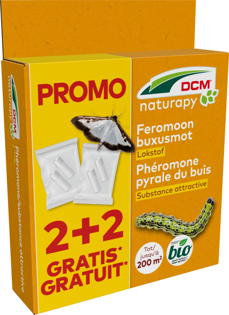 Cydalima-Pheromone® - Buxusmot 2+2