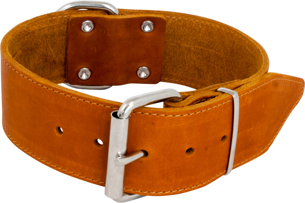 Vetleder Brede Halsband Cognac 50mm x 75cm