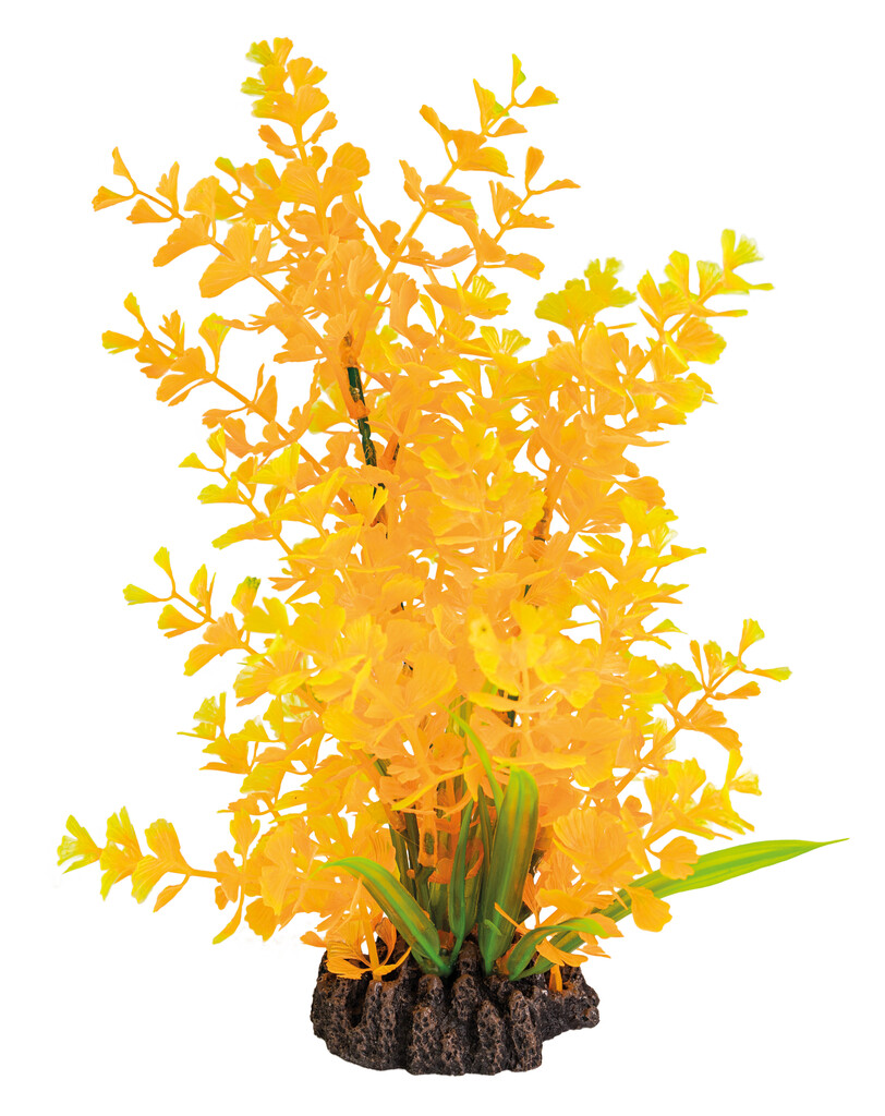 Art Plant 25cm Ludwigia Orange Art Plant 25cm Ludwigia Orange