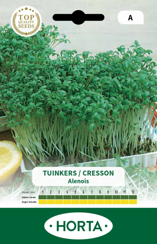 Cresson Alénois Commun