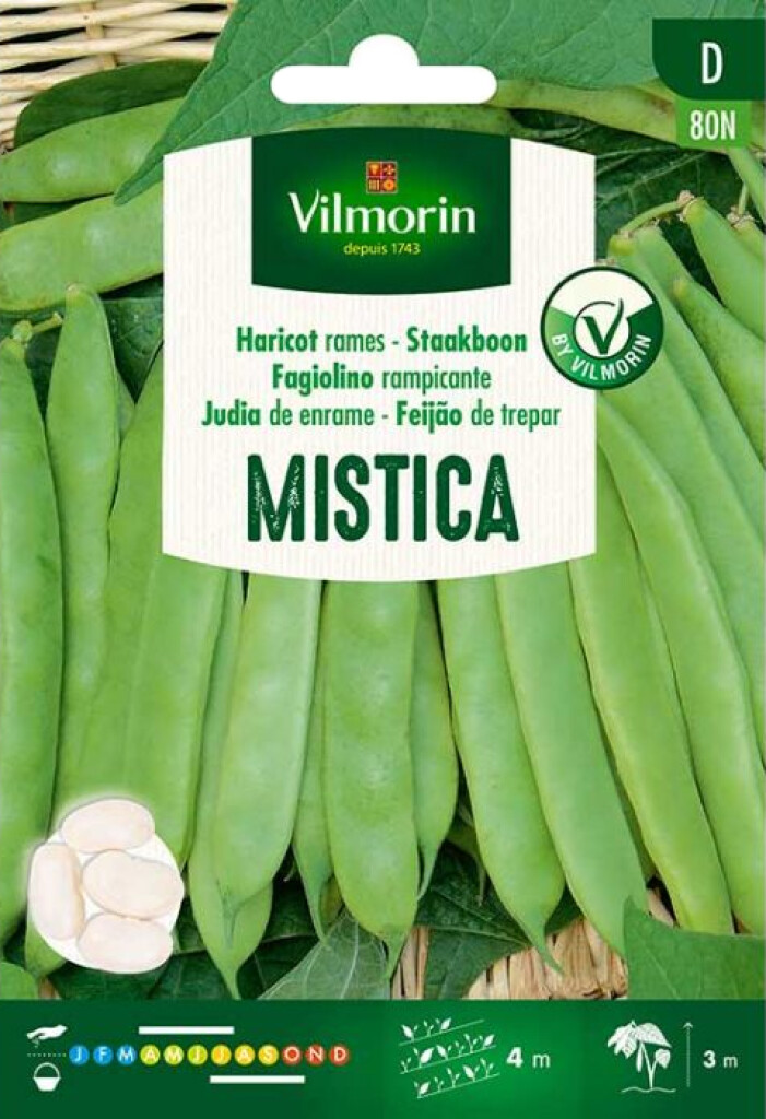 Haricot à rames Mistica 25g