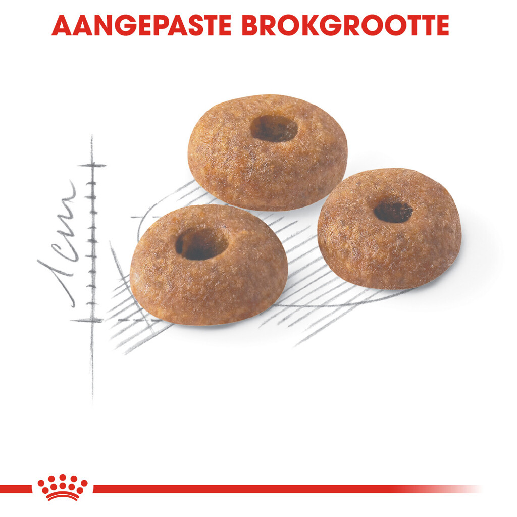 FHN Fit 400g