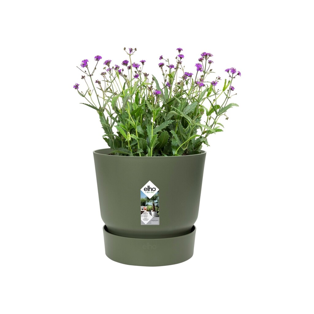 Greenville Rond 14cm vert feuille