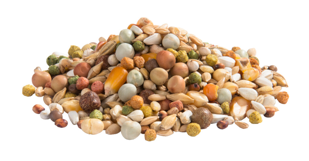 Junior 20kg Junior 20kg