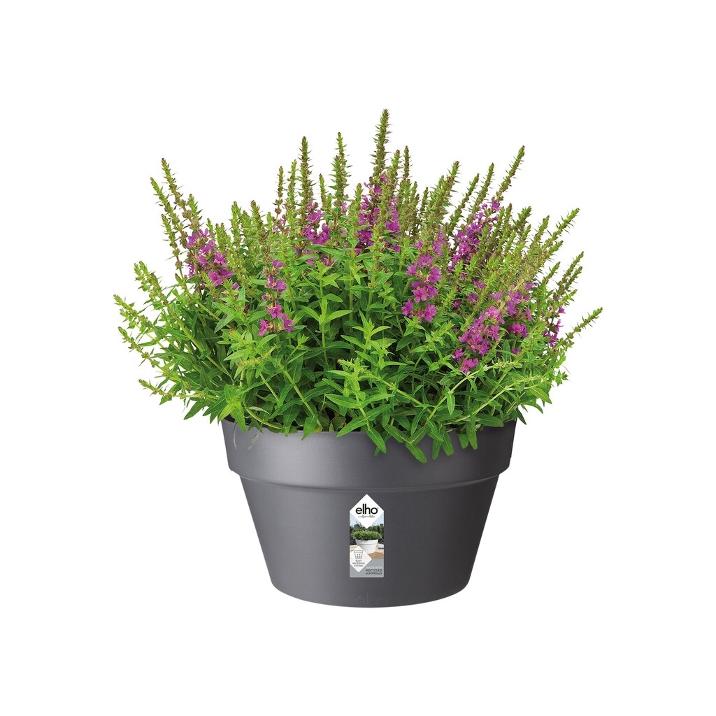 Loft Urban Copue 35cm anthracite