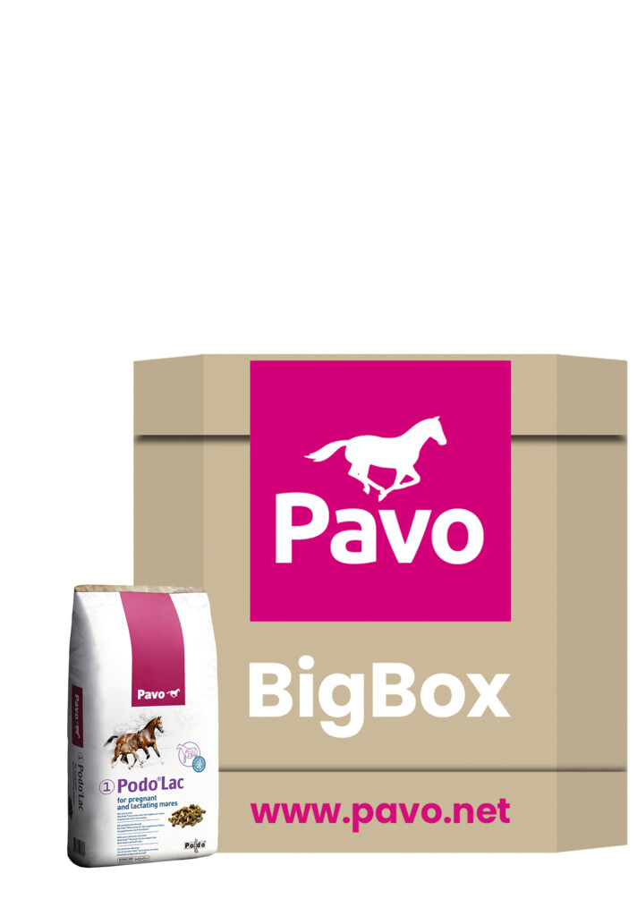 Podo® Lac Big Box 725kg