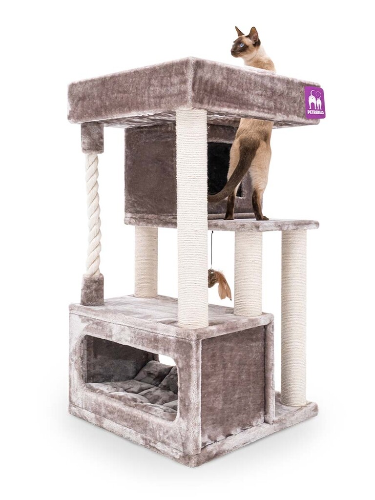 Lodge 107 Cappuccino Lodge 107 Cappuccino