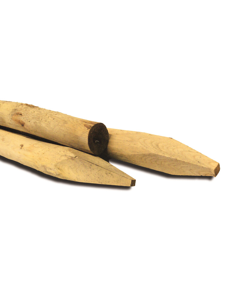 Kastanje paal geschild 80/100 x 2000mm Kastanje paal geschild 80/100 x 2000mm