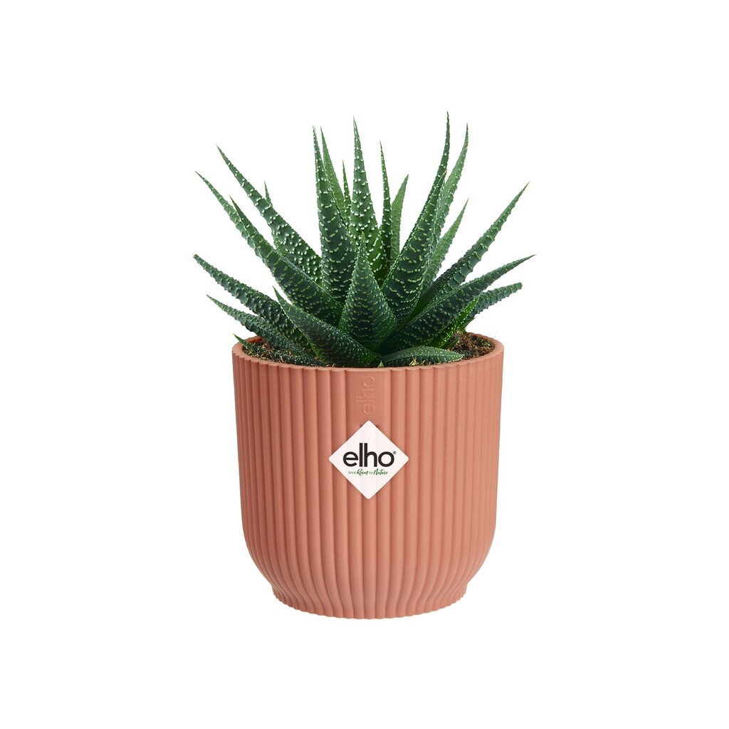 Vibes Fold Rond Mini 7cm delicaat roze Vibes Fold Rond Mini 7cm delicaat roze