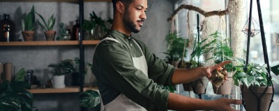 Employé du rayon Plantes - HORTA Ternat