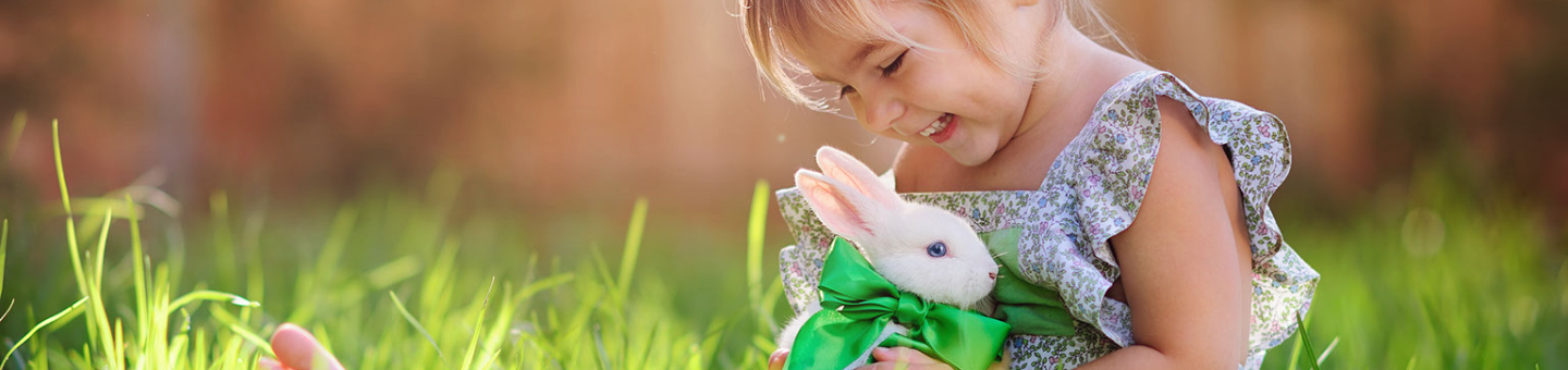 Les soins de base du lapin