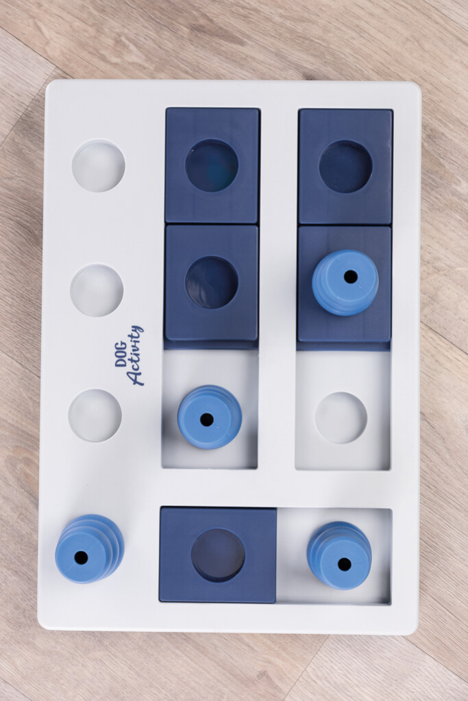 Dog Activity Strategiespel Chess Dog Activity Strategiespel Chess