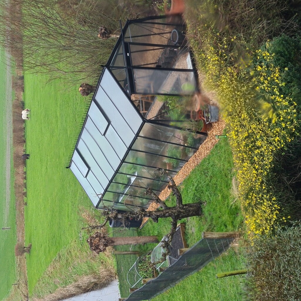 Serre S208 Blackline