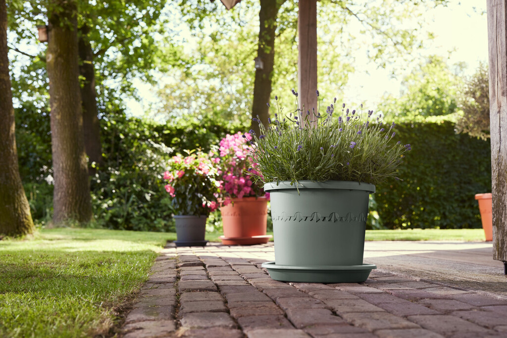 Soucoupe Universelle Ronde 40cm vert thym