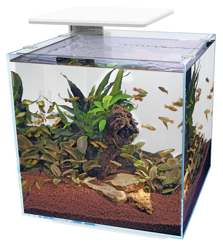 Qubiq Aquarium 60 Pro wit