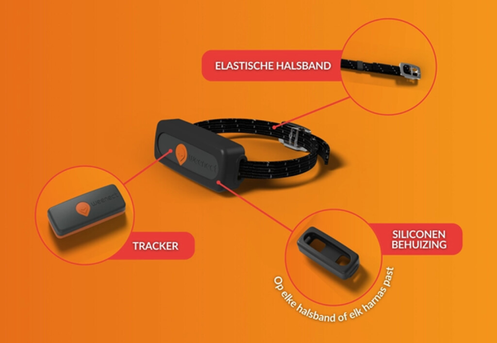 Traceur GPS Chat Noir Traceur GPS Chat Noir