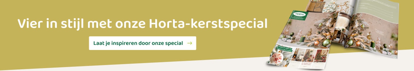 Kerstspecial Horta