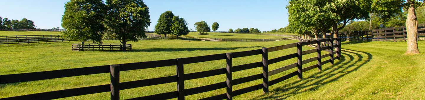 Omheining voor paarden Afrastering paardenweide