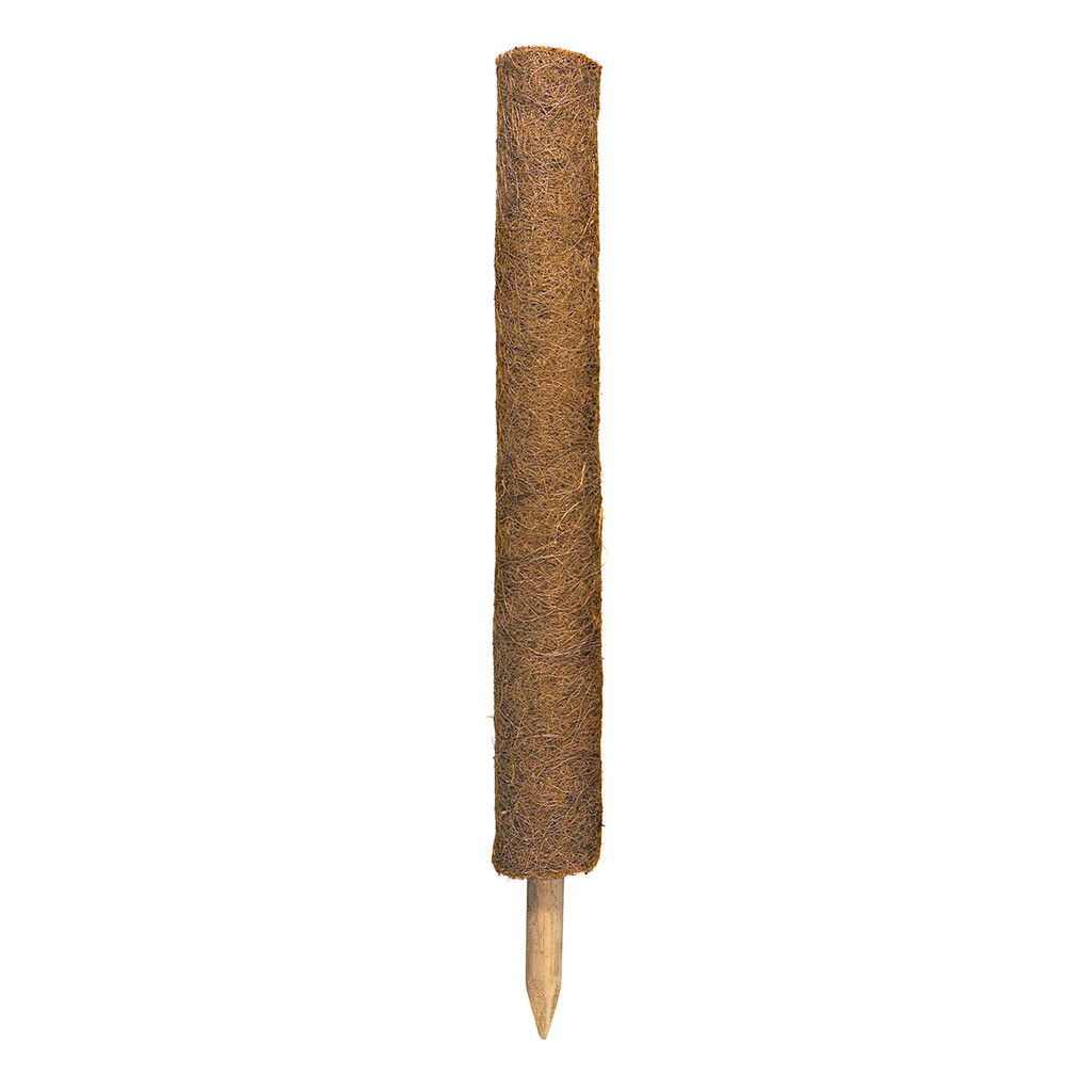 Kokosplantstok 60cm