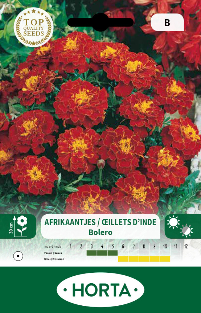 Tagetes dubbele Bolero Tagetes dubbele Bolero