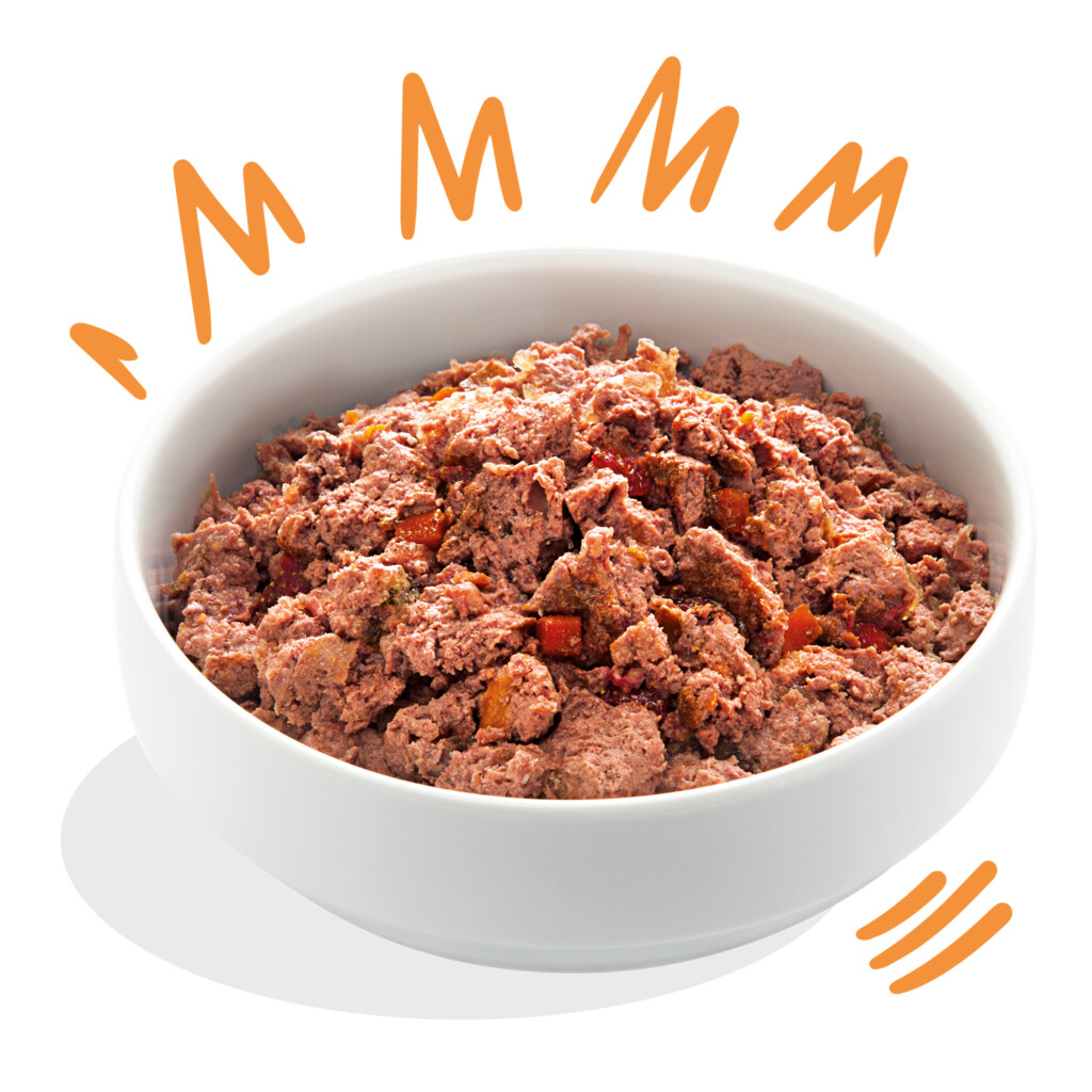 Poulet & dinde 400g - adulte - canette