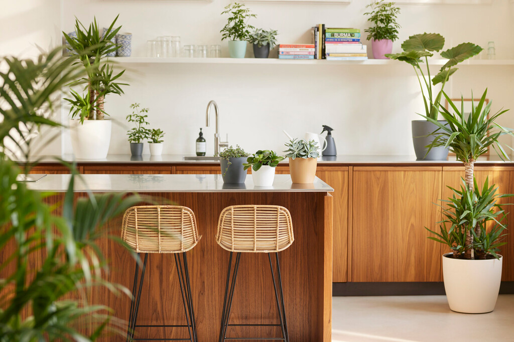 Bloempot Brussels rond 22cm antraciet Bloempot Brussels rond 22cm antraciet