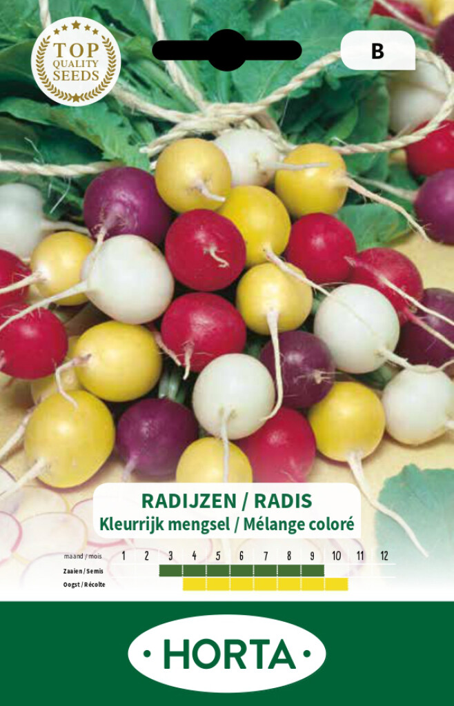 Radijs rond kleurrijk mengsel Radijs rond kleurrijk mengsel