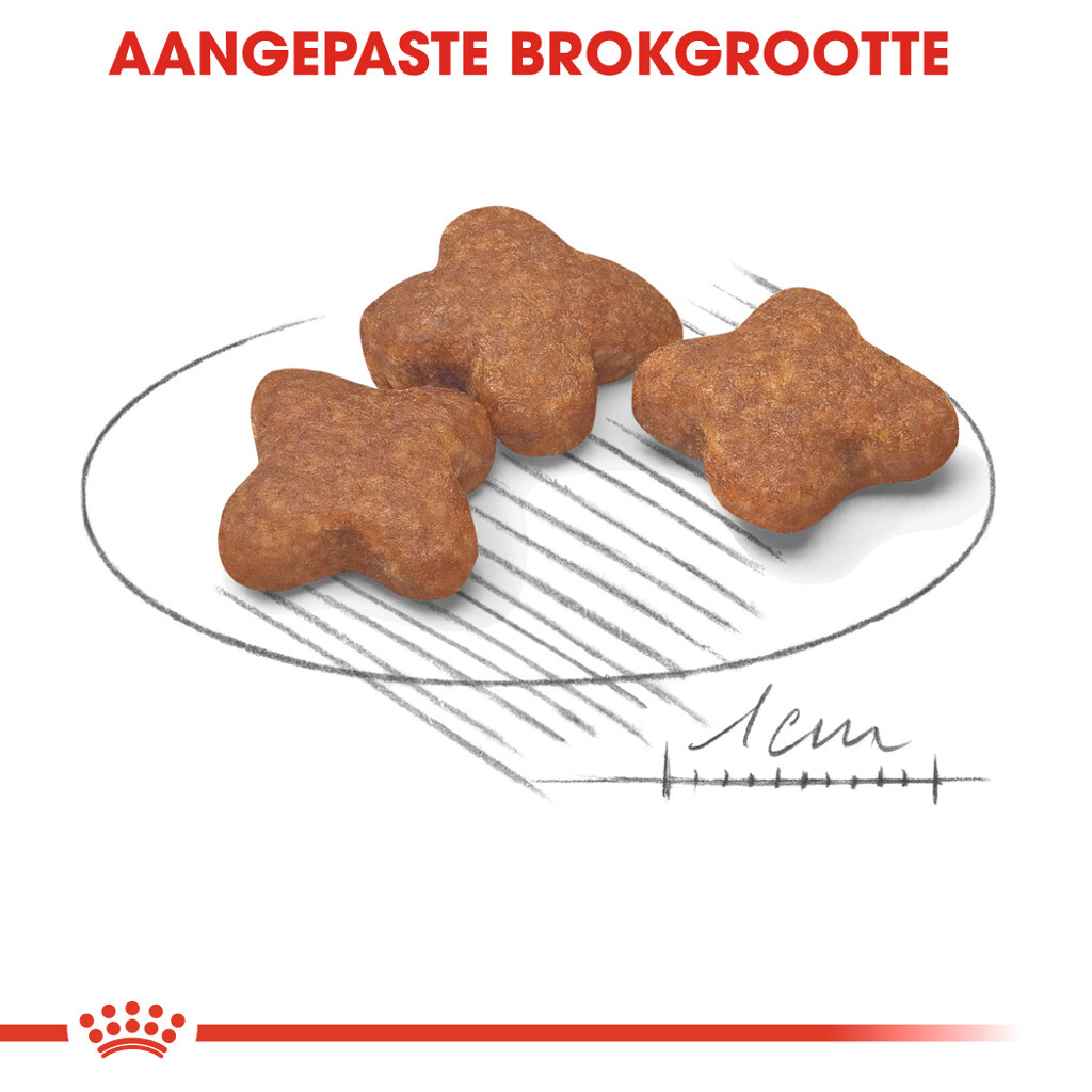 SHN Mini Adult 8+ 4kg