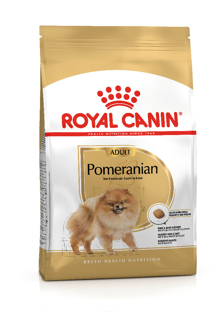 BHN Pomeranian 1,5kg
