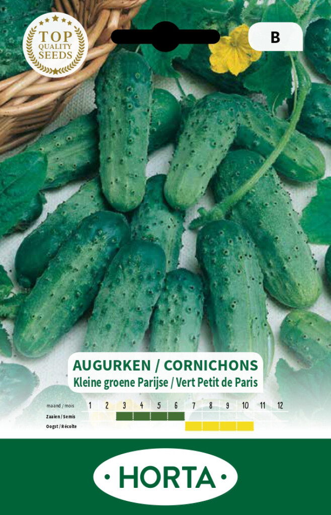Cornichon vert Petit de Paris