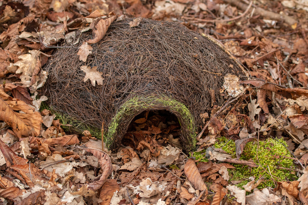 Panier pour herisson belluno