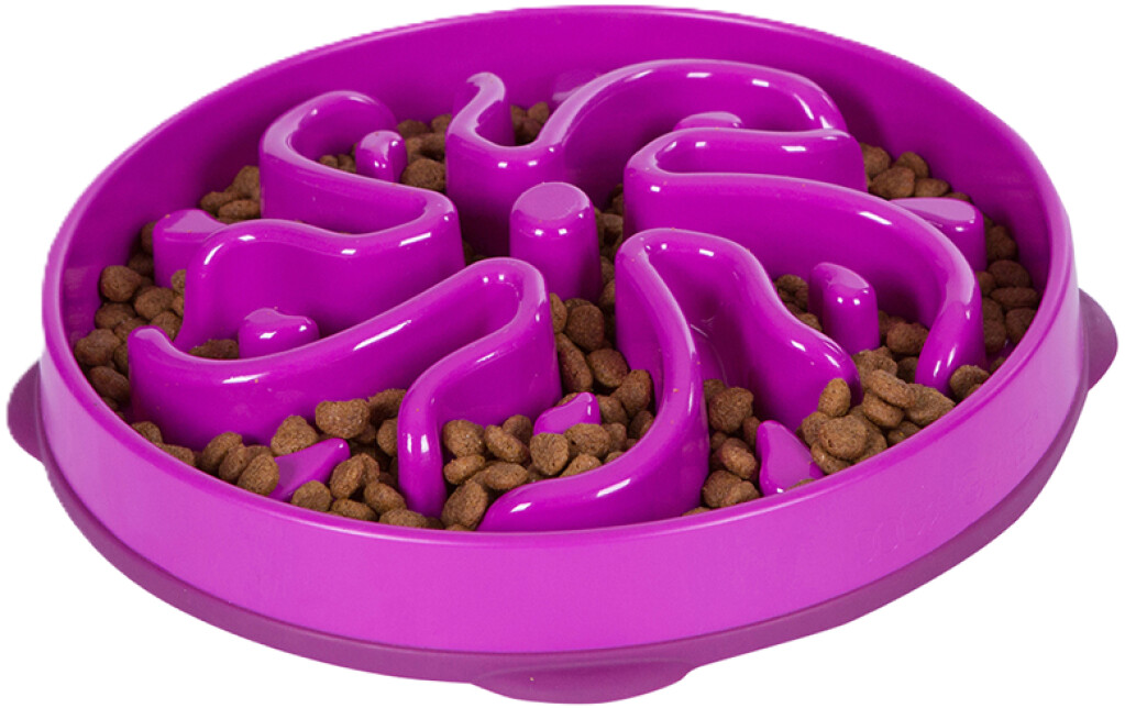 Fun Feeder Flower paars