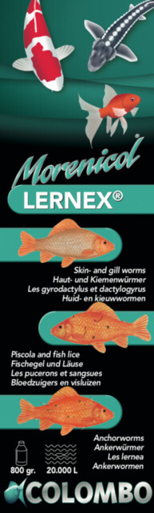 Lernex 800gr/20.000L