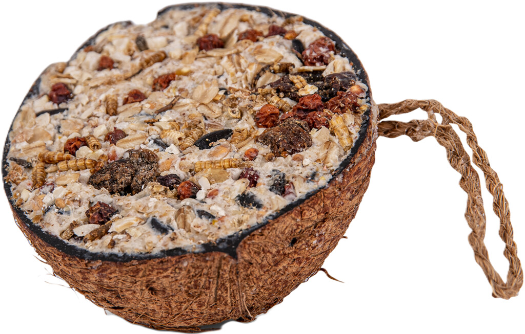 Halve kokosnoot granola 200g