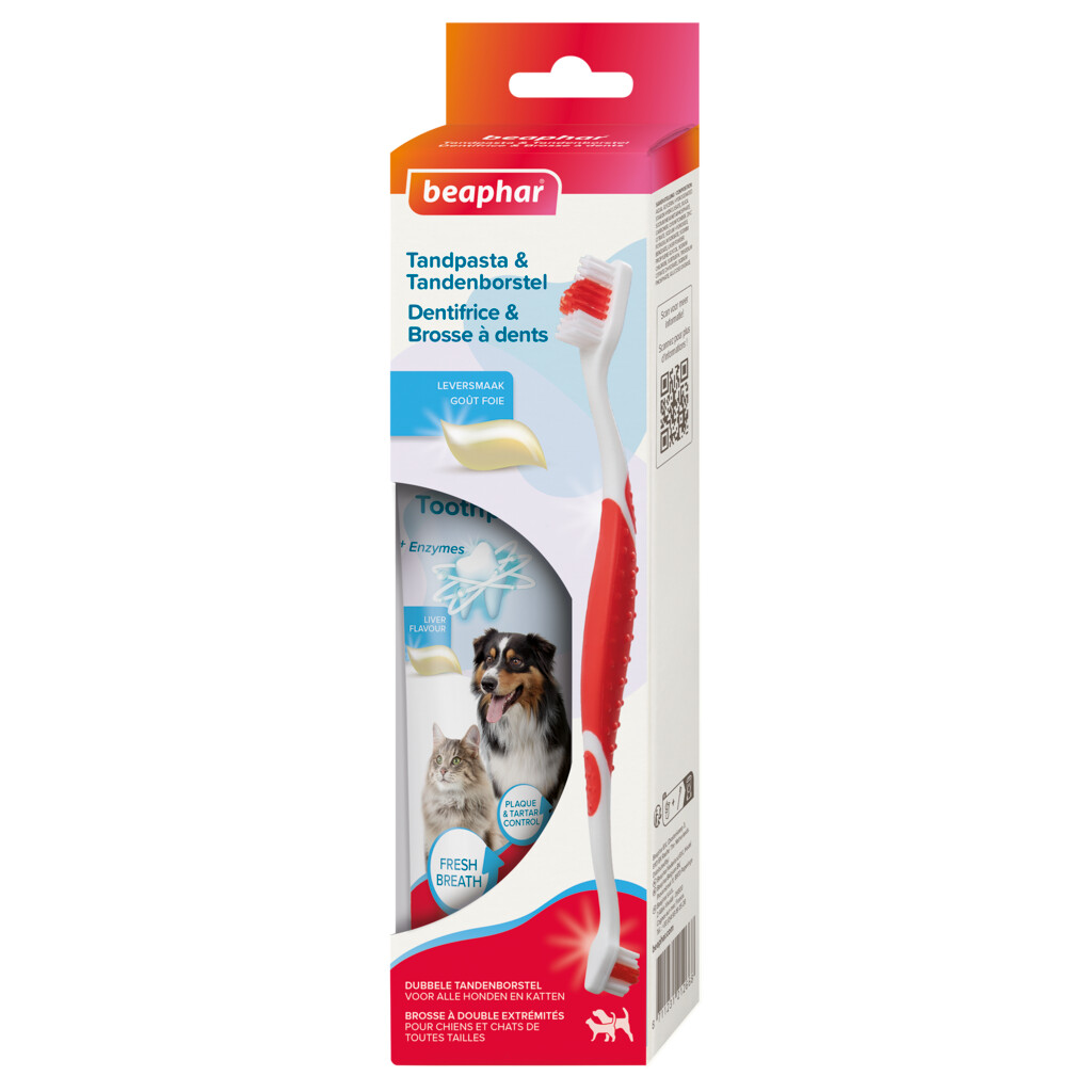Tandpasta 100g & Tandenborstel