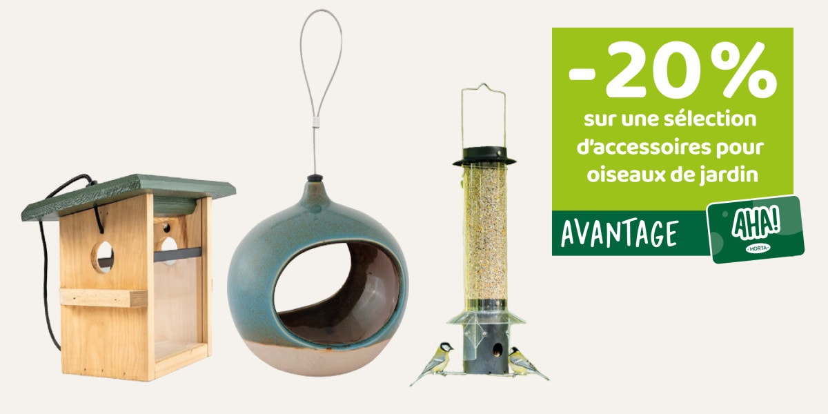 ’accessoires pour oiseaux de jardin