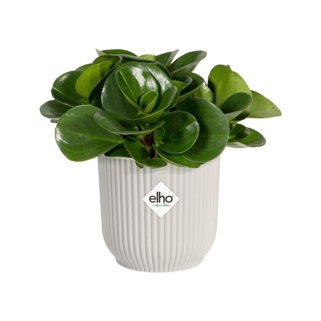Vibes Fold Rond Mini 11cm blanc soie Vibes Fold Rond Mini 11cm blanc soie