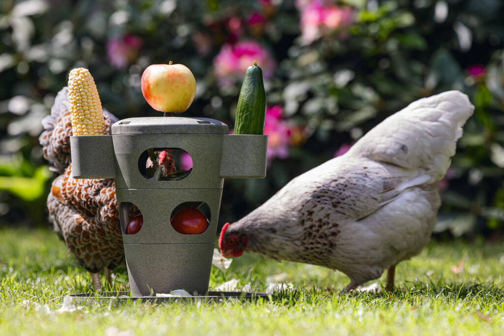 Speel- en snacktoren