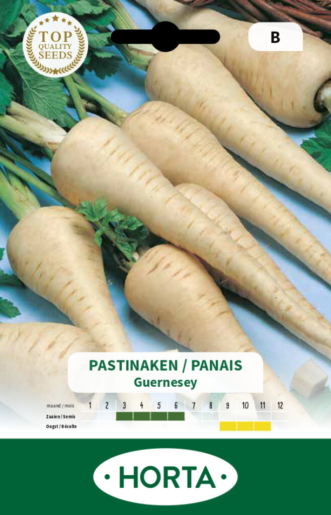 Panais 1/2 long de Guernesey Panais 1/2 long de Guernesey