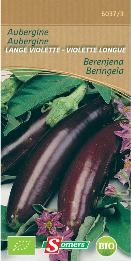 Be-Bio-02 Aubergine Violette Longue